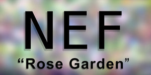 NEF Rose Garden 44" x 96" Expendable #80 matte paper stock