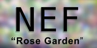 NEF Rose Garden 44
