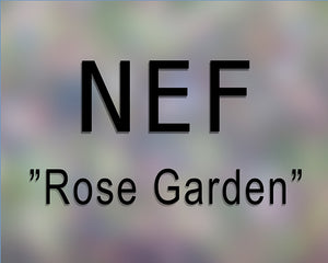 NEF Rose Garden 44" x 48" Expendable #80 matte paper stock