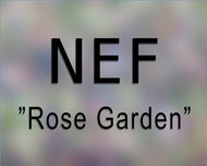 NEF Rose Garden 44